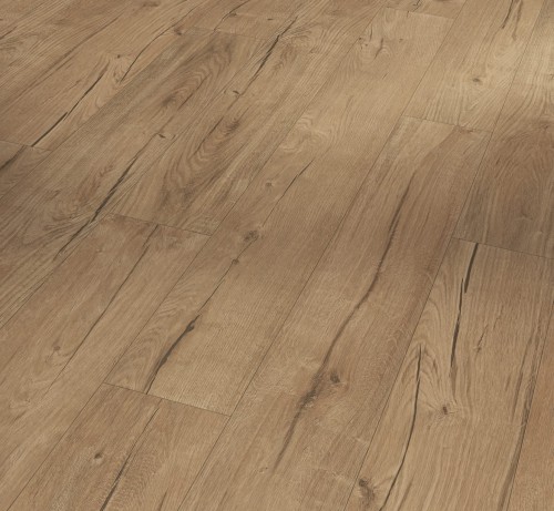 Parador Oak Century Natural 1601432, kolekcja: Trendtime 1; Wymiar: 8x158x1285 mm; AC4/32; V-Fuga x 4
