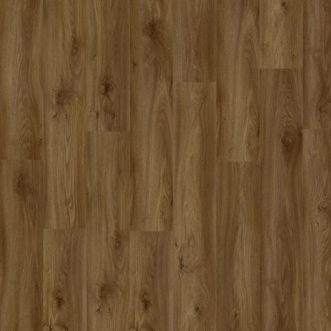 MODULEO ROOTS 55 EIR SIERRA OAK 58876 AC5/33. Panele winylowe klejone V-Fuga x 4; Wymiar: 196 x 1320 x 2,50 mm klasa AC5/33 warstwa ścierna 0,55 mm