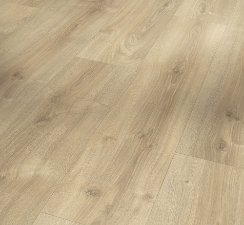 Parador Oak Nova Light Limed 1744353, kolekcja: Basic 600 4V; Wymiar: 8x243x1285 mm; AC4/32; V-Fuga x 4;
