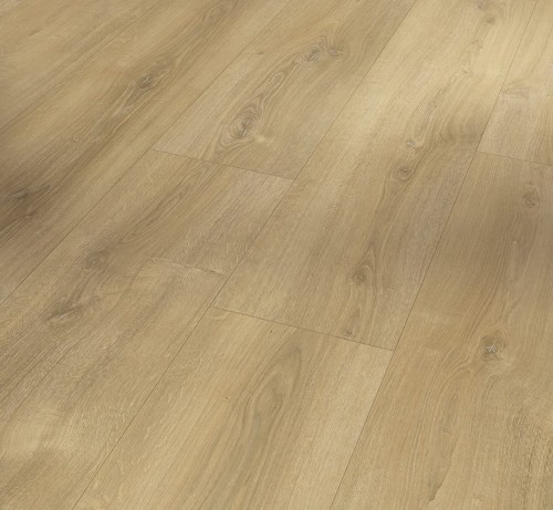 Parador Oak Nova Limed 1744352, kolekcja: Basic 600 4V; Wymiar: 8x243x1285 mm; AC4/32; V-Fuga x 4;