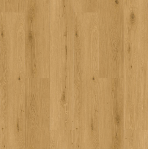 Premium Floor Dąb Vision 99910; kolekcja: Omnia; podłoga winylowa (zintegrowany podkład); klasa: AC5/33; wymiary: 5+1 x 229 x 1524 mm